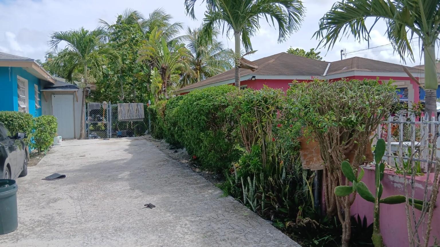 Hedge and driveway maintenance by KJ Landscaping General Maintenance