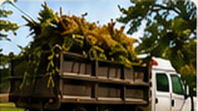 Truck hauling branches and yard debris